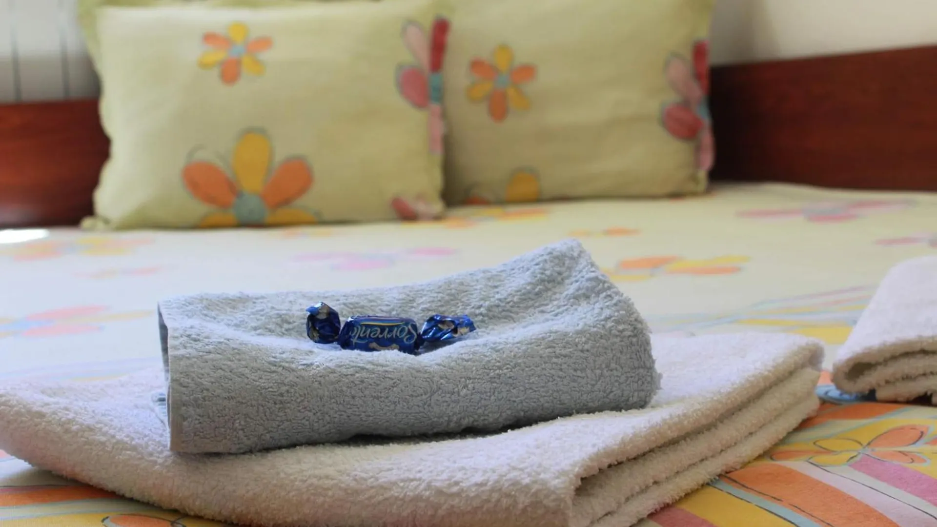 Апартаменти Viviana Plovdiv Apartment